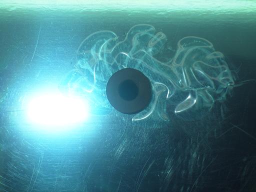 566231004　　クリックすると、もっと大きい画像を表示