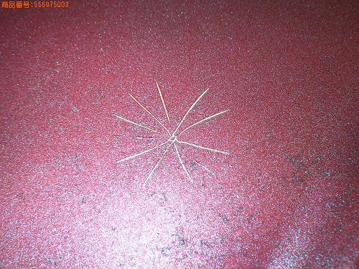 556975003　　クリックすると、もっと大きい画像を表示