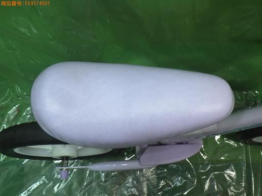 559574001　　クリックすると、もっと大きい画像を表示