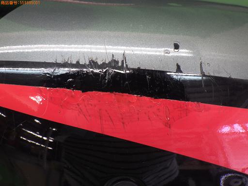 559895001　　クリックすると、もっと大きい画像を表示