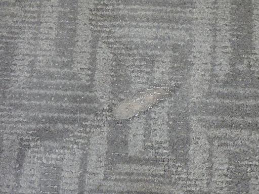 566430002　　クリックすると、もっと大きい画像を表示