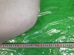 クリックすると拡大表示します